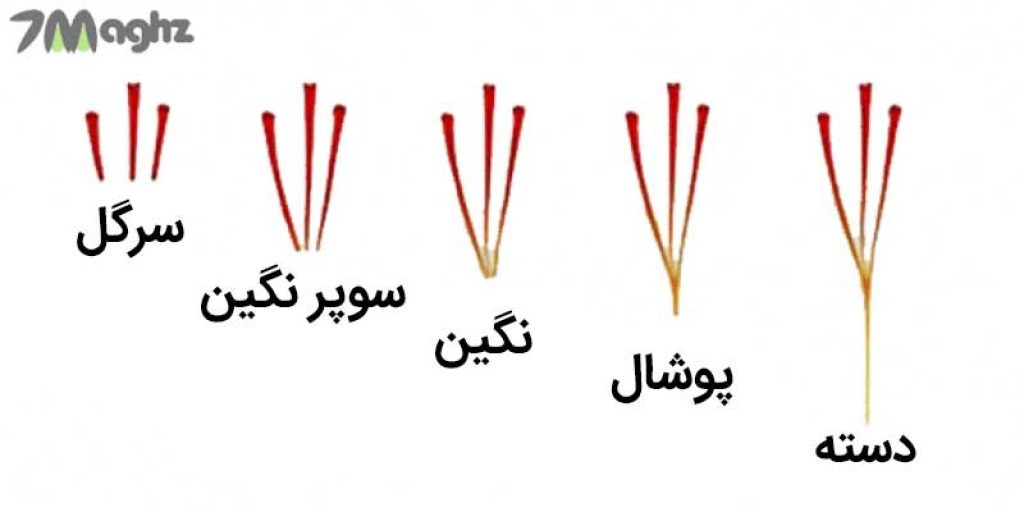 انواع زعفران