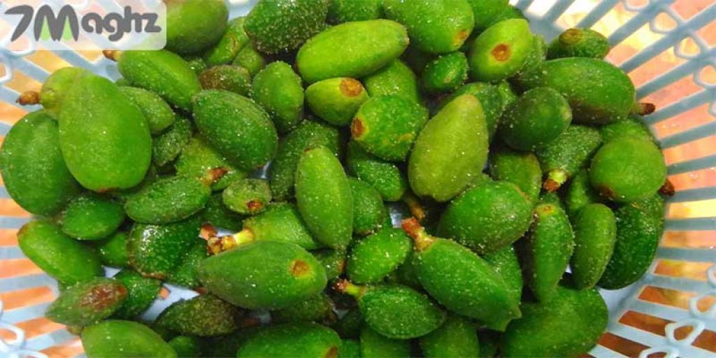 چغاله بادام