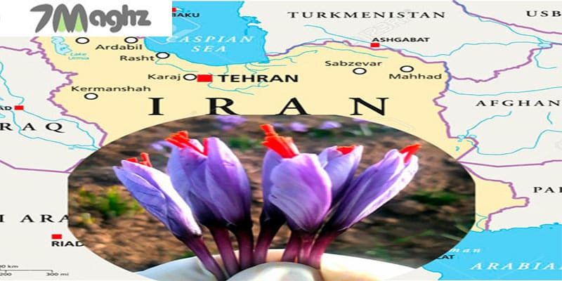 بهترین زعفران ایران