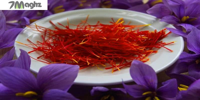 کاشت زعفران در گلدان