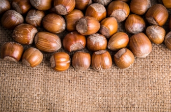 خواص فندق در بدنسازی